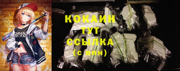 дживик Баксан
