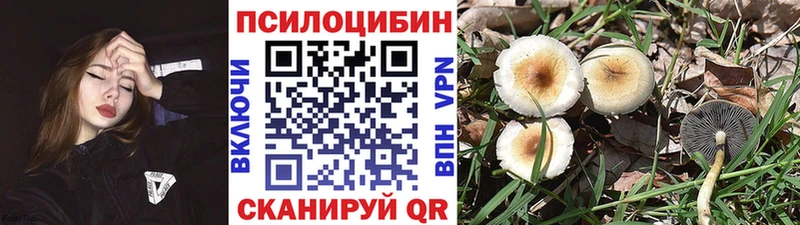 Галлюциногенные грибы Cubensis  omg ТОР  Улан-Удэ  где можно купить  